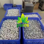 Retatrutide 12MG