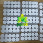 Survodutide 10MG